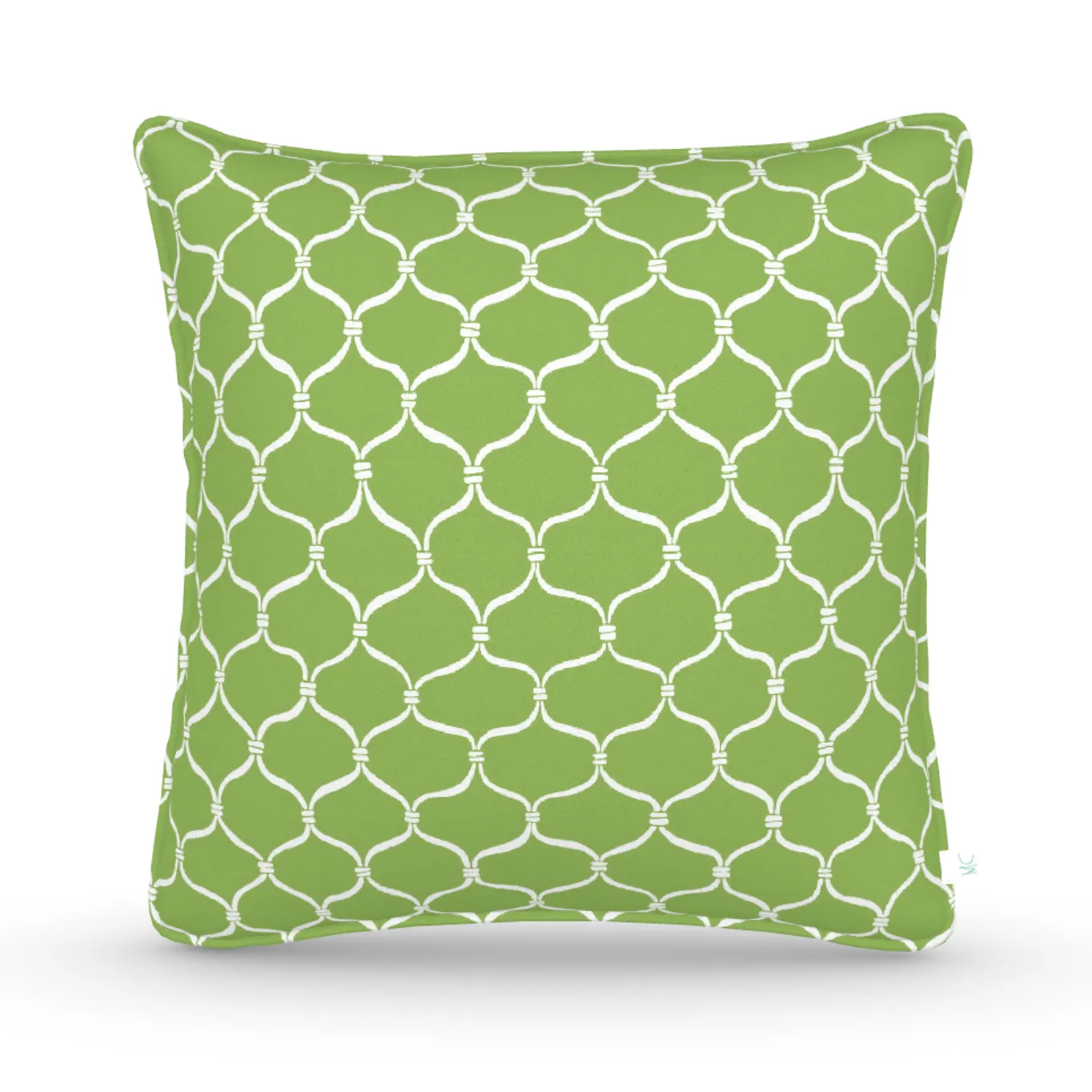 Decorative Throw Pillow in Cast-A-Net: Wheatgrass