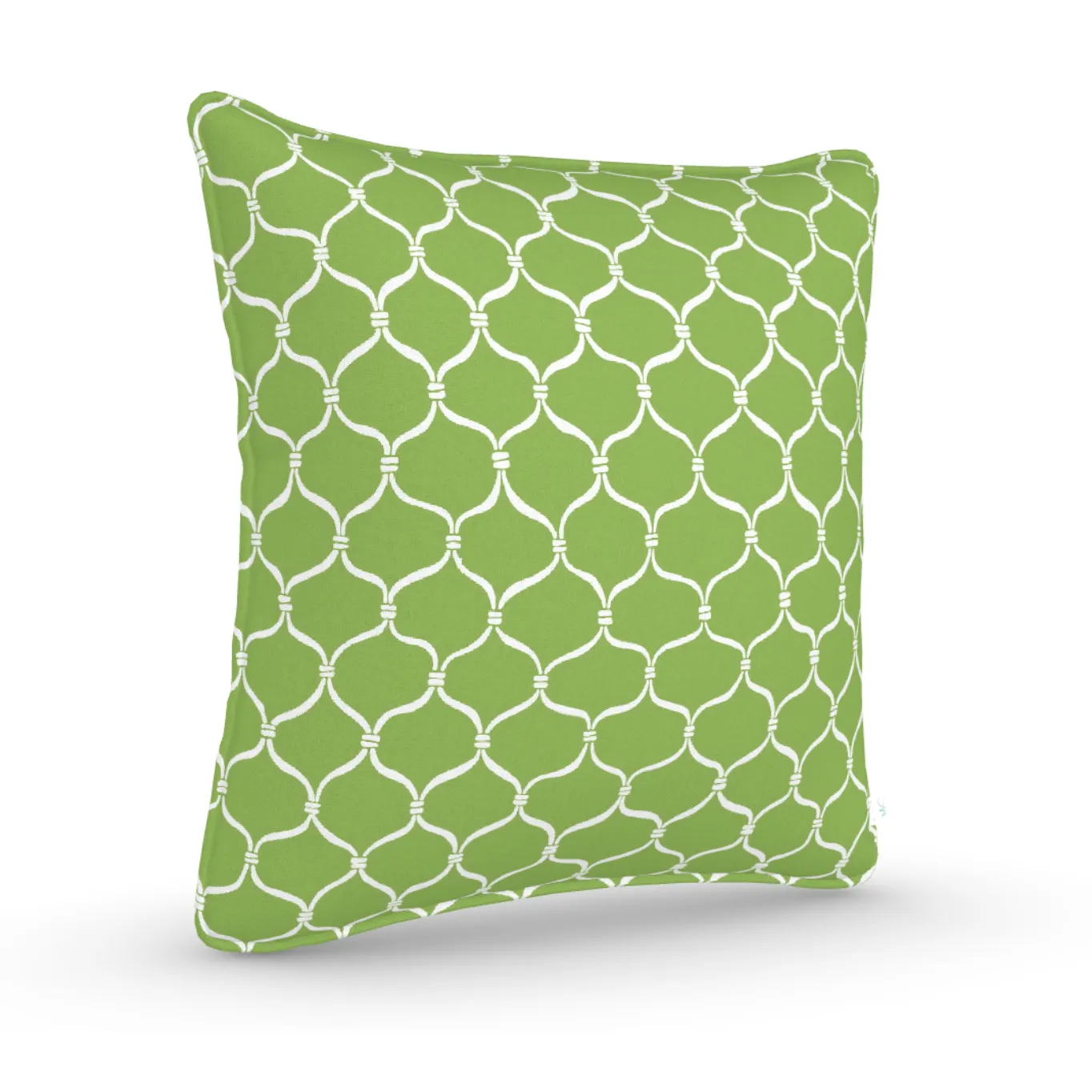 Decorative Throw Pillow in Cast-A-Net: Wheatgrass