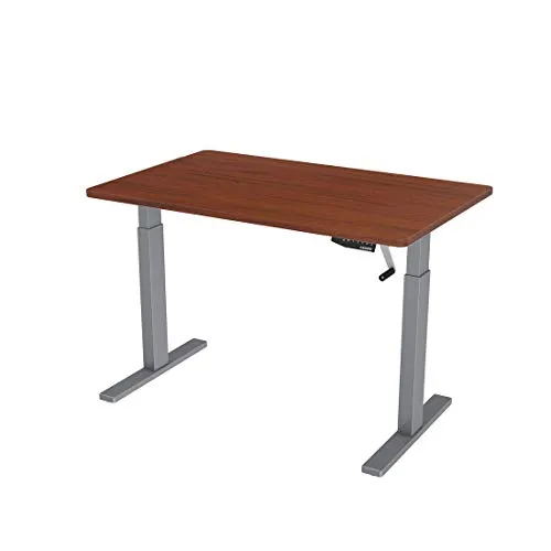 FLEXISPOT Whole Piece 55"x28" Desktop 1" Thickness Height Adjustable Desk Rectangular Tabletop Mahogany Board (55INCH Mahogany Top)