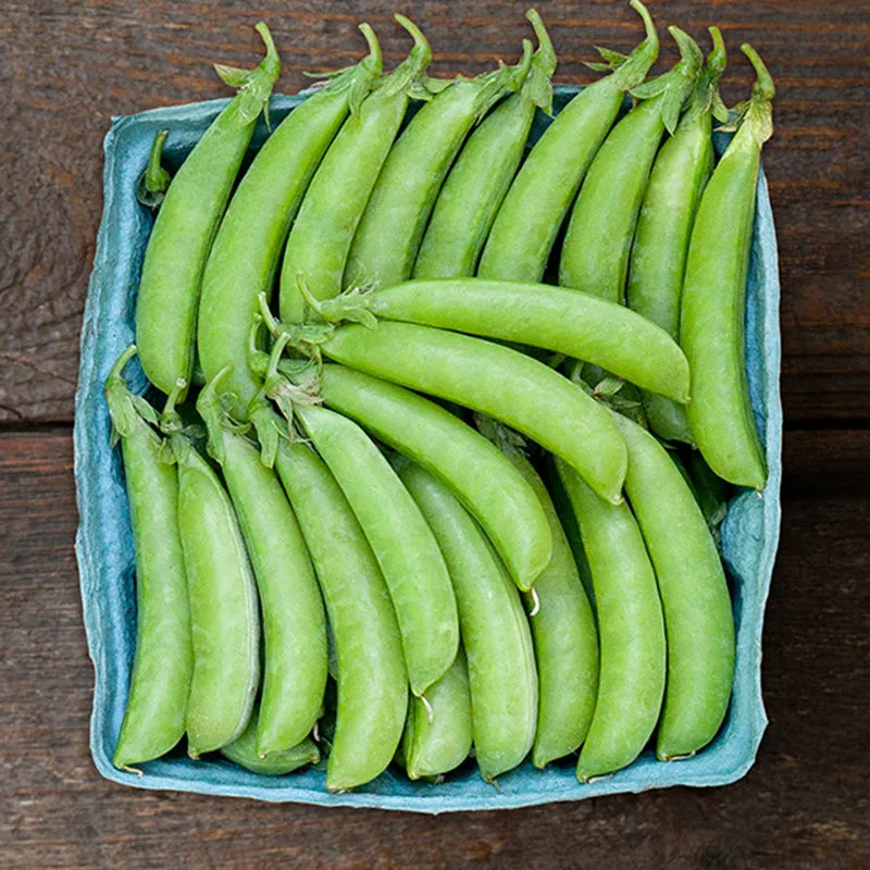 Sugar Ann Snap Pea Seeds (Organic)